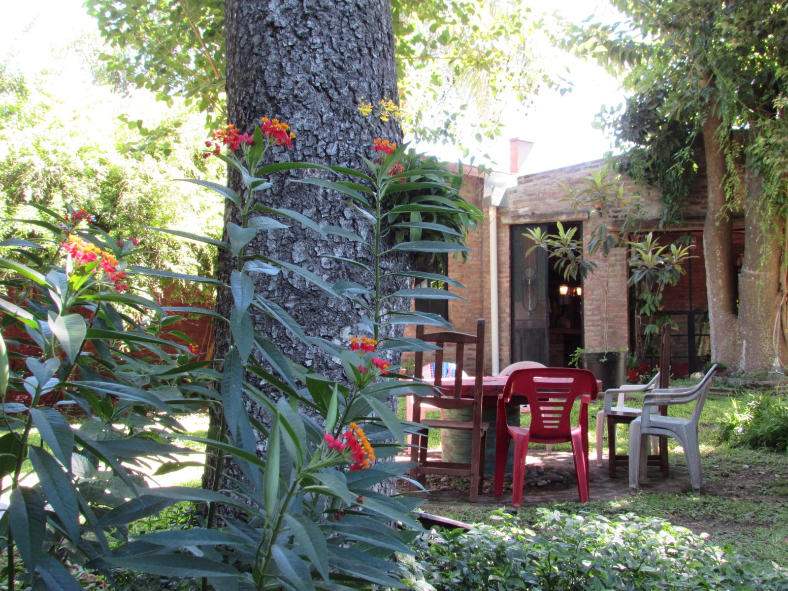 Patio interior