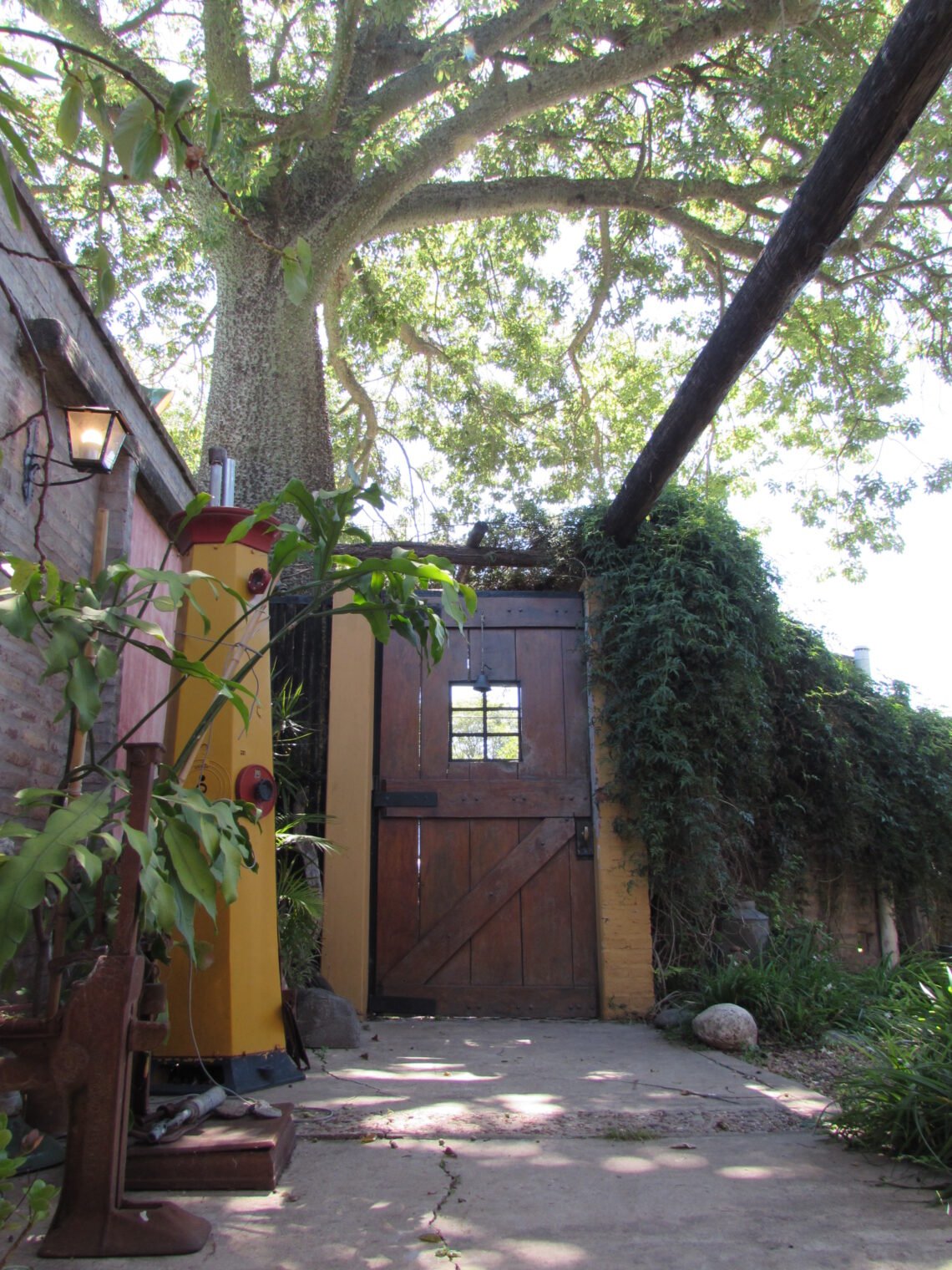 Puerta de madera bajo el árbol — la casa-escuela en Paraná